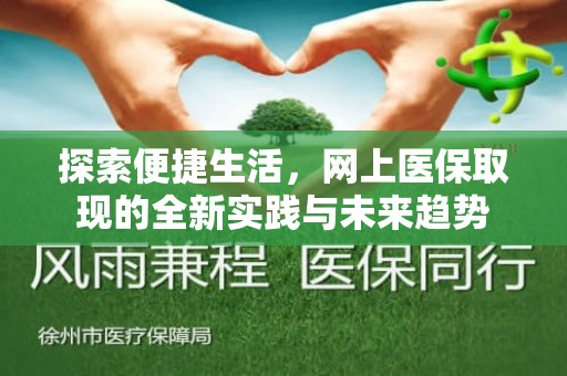 驻马店探索便捷生活，网上医保取现的全新实践与未来趋势